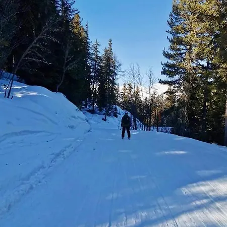 4pers Aux Bains De Διαμέρισμα Saillon
