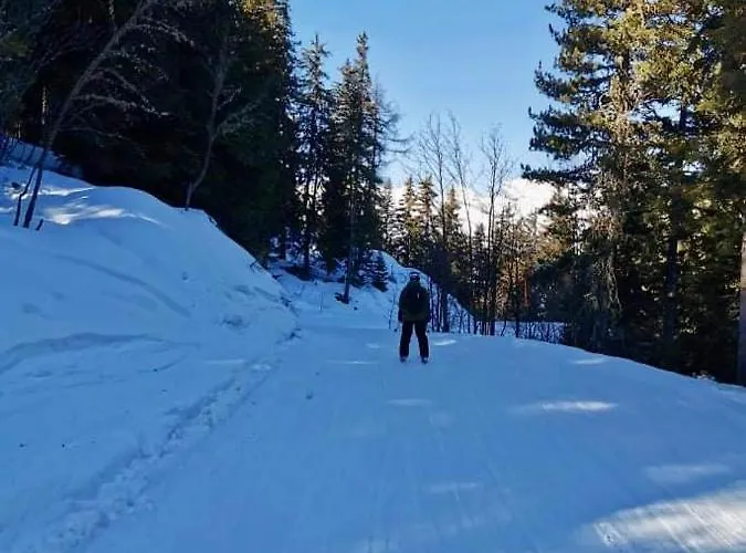 4pers Aux Bains De Апартаменты Сайон